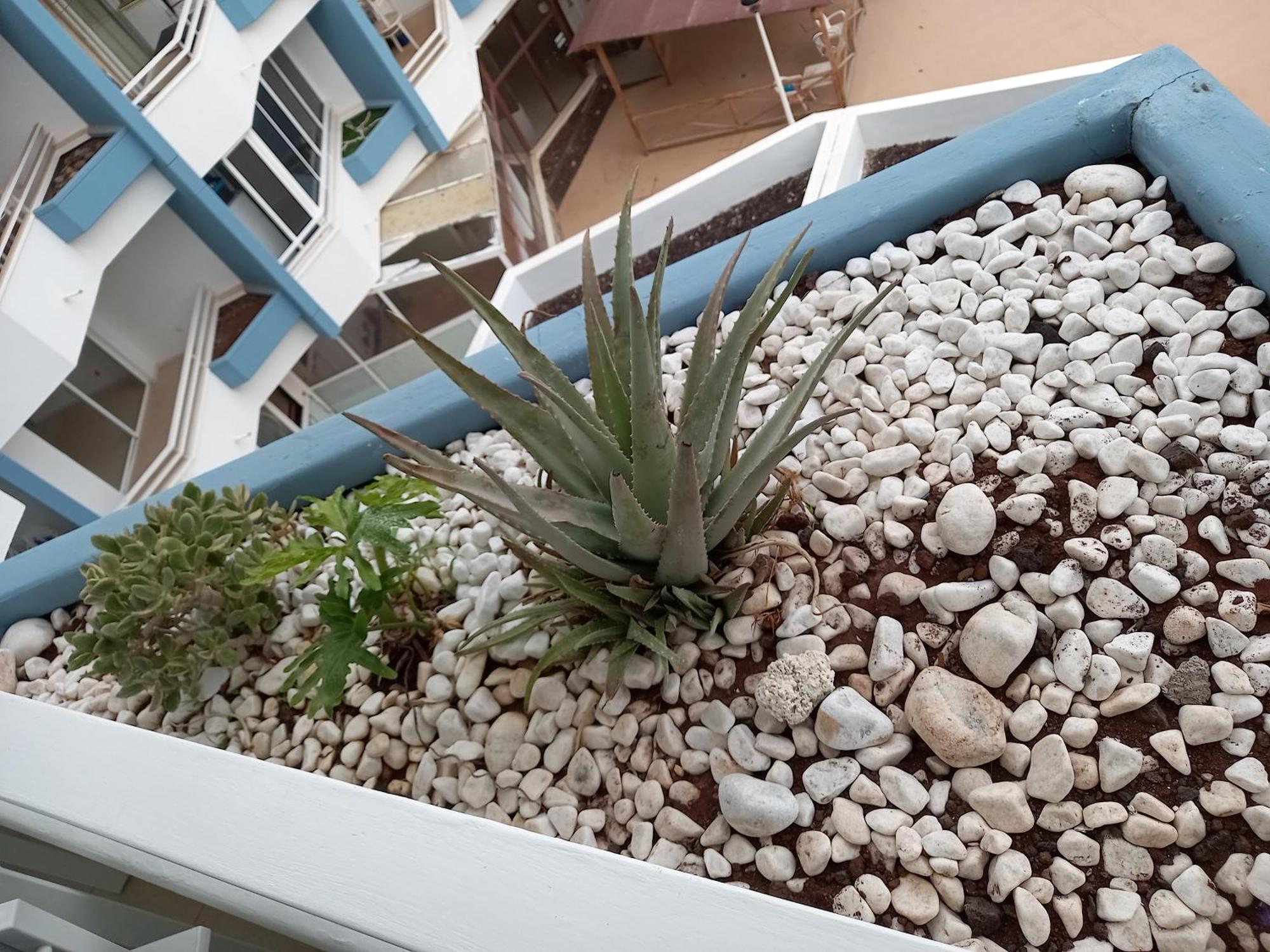 Cousy Holiday Apartment In Sunny Golf Del Sur San Miguel de Abona Exterior photo